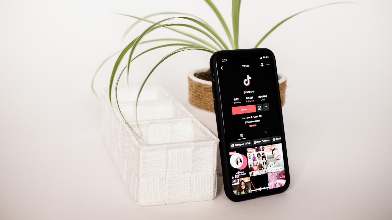 Consejos para obtener videos de TikTok sin marcas de ⁢agua